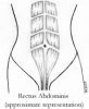 Diastasis Recti During and After Pregnancy